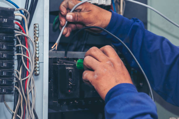 Best Electric Panel Repair  in Phoenix Lake, CA